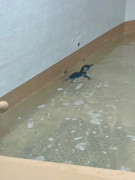 AOAO SAPPOROに投稿された画像（2024/6/29）