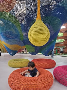 彫刻の森美術館に投稿された画像（2024/6/29）