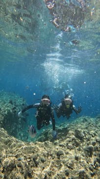 武藤潜水に投稿された画像（2024/6/29）