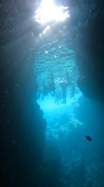 武藤潜水に投稿された画像（2024/6/29）