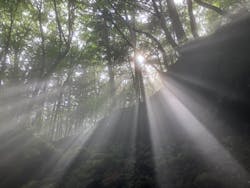 THE HIGHEST PEAKに投稿された画像（2024/6/29）