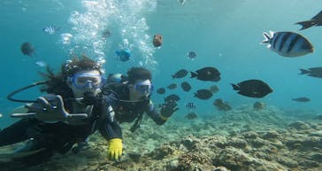 武藤潜水に投稿された画像（2024/6/29）