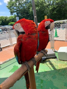 アニタッチPARKイオンモール太田に投稿された画像（2024/6/29）