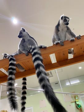 アニタッチPARKイオンモール太田に投稿された画像（2024/6/29）