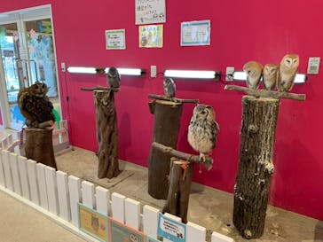 アニタッチPARKイオンモール太田に投稿された画像（2024/6/29）