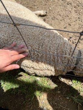 神戸どうぶつ王国に投稿された画像（2024/6/29）