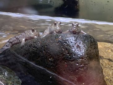 AOAO SAPPOROに投稿された画像（2024/6/29）