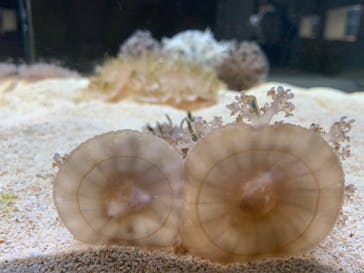 AOAO SAPPOROに投稿された画像（2024/6/29）