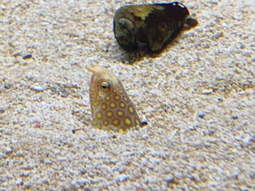 AOAO SAPPOROに投稿された画像（2024/6/29）