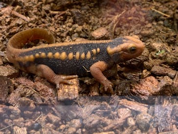 AOAO SAPPOROに投稿された画像（2024/6/29）