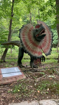 那須高原りんどう湖ファミリー牧場に投稿された画像（2024/6/29）