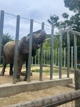 しろとり動物園に投稿された画像（2024/6/29）