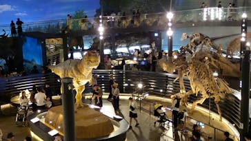 福井県立恐竜博物館に投稿された画像（2024/6/29）