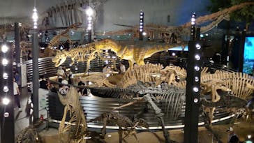 福井県立恐竜博物館に投稿された画像（2024/6/29）