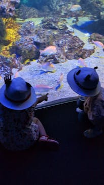 京都水族館に投稿された画像（2024/6/29）