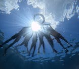 マリンクラブジジに投稿された画像（2024/6/30）