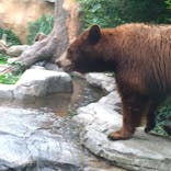 神戸どうぶつ王国に投稿された画像（2024/6/30）