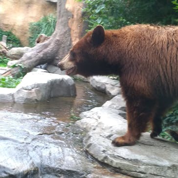 神戸どうぶつ王国に投稿された画像（2024/6/29）