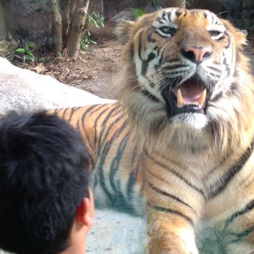 神戸どうぶつ王国に投稿された画像（2024/6/29）
