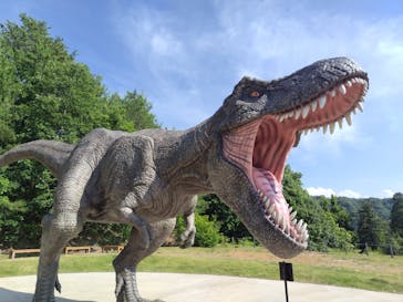 福井県立恐竜博物館に投稿された画像（2024/6/29）