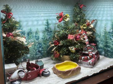 NARA IKIMONO MUSEUMに投稿された画像（2024/5/25）