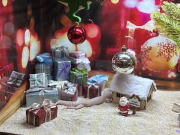 NARA IKIMONO MUSEUMに投稿された画像（2024/5/25）