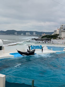 鴨川シーワールドに投稿された画像（2024/6/29）