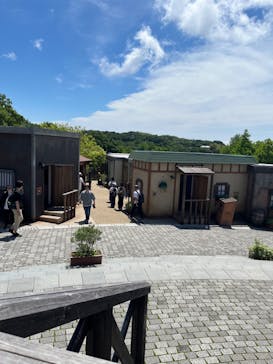 ニジゲンノモリに投稿された画像（2024/6/29）