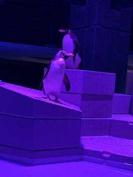 AOAO SAPPOROに投稿された画像（2024/6/29）