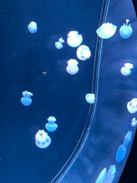 AOAO SAPPOROに投稿された画像（2024/6/29）