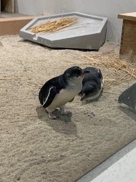 AOAO SAPPOROに投稿された画像（2024/6/29）