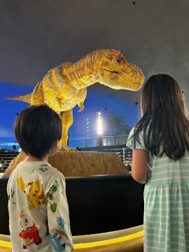 福井県立恐竜博物館に投稿された画像（2024/6/29）