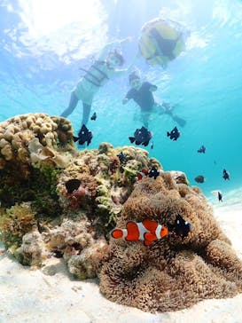 宮古島マリンショップSmileyに投稿された画像（2024/6/29）