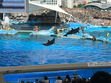 名古屋港水族館に投稿された画像（2024/6/30）