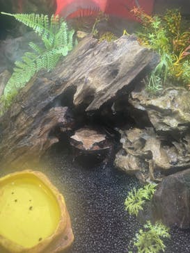 NARA IKIMONO MUSEUMに投稿された画像（2024/6/30）