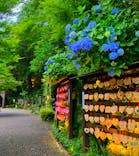 箱根湯本温泉 天成園に投稿された画像（2024/6/30）