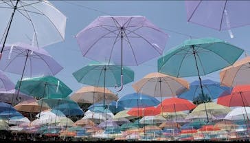 十勝ヒルズに投稿された画像（2024/6/30）