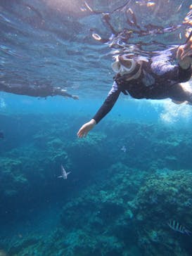 沖縄マリンサービス碧に投稿された画像（2024/6/30）