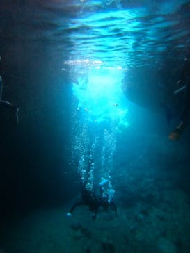 沖縄マリンサービス碧に投稿された画像（2024/6/30）