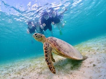 宮古島マリン GB QUESTに投稿された画像（2024/6/30）