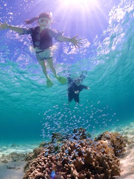 宮古島マリン GB QUESTに投稿された画像（2024/6/30）