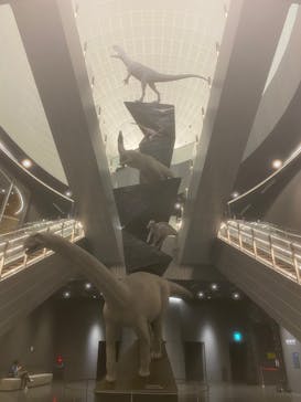 福井県立恐竜博物館に投稿された画像（2024/6/30）