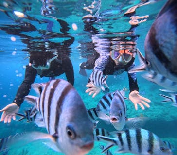 沖縄マリンサービス碧に投稿された画像（2024/6/30）