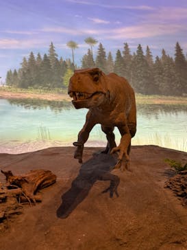 福井県立恐竜博物館に投稿された画像（2024/6/30）