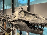 福井県立恐竜博物館に投稿された画像（2024/6/30）