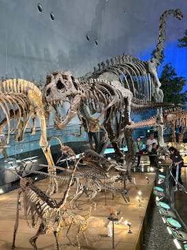 福井県立恐竜博物館に投稿された画像（2024/6/30）