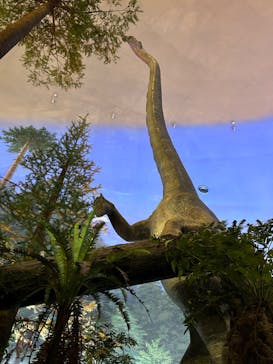 福井県立恐竜博物館に投稿された画像（2024/6/30）