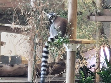 NIFREL（ニフレル）に投稿された画像（2024/6/30）