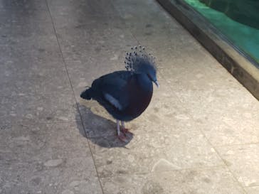 NIFREL（ニフレル）に投稿された画像（2024/6/30）