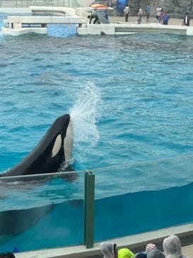 鴨川シーワールドに投稿された画像（2024/6/30）